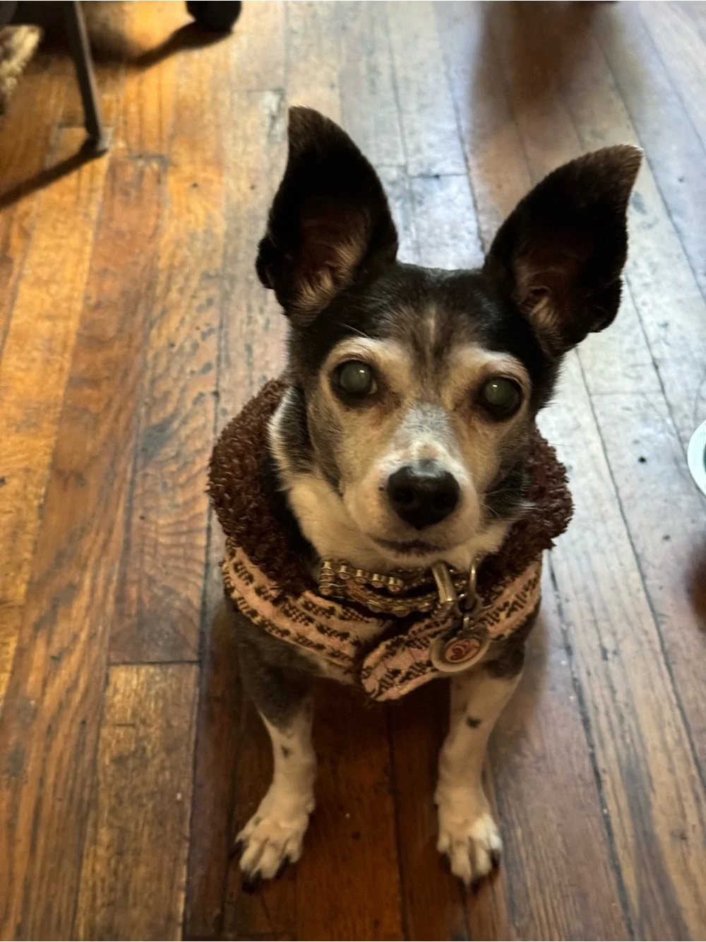 Pink & Brown Checker Knit Dog Dress - Small